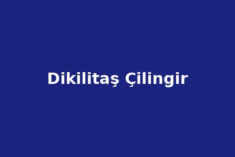 Dikilitaş Mahallesi Çilingir Hizmeti - Acil Kapı Açma ve Kilit Değişimi